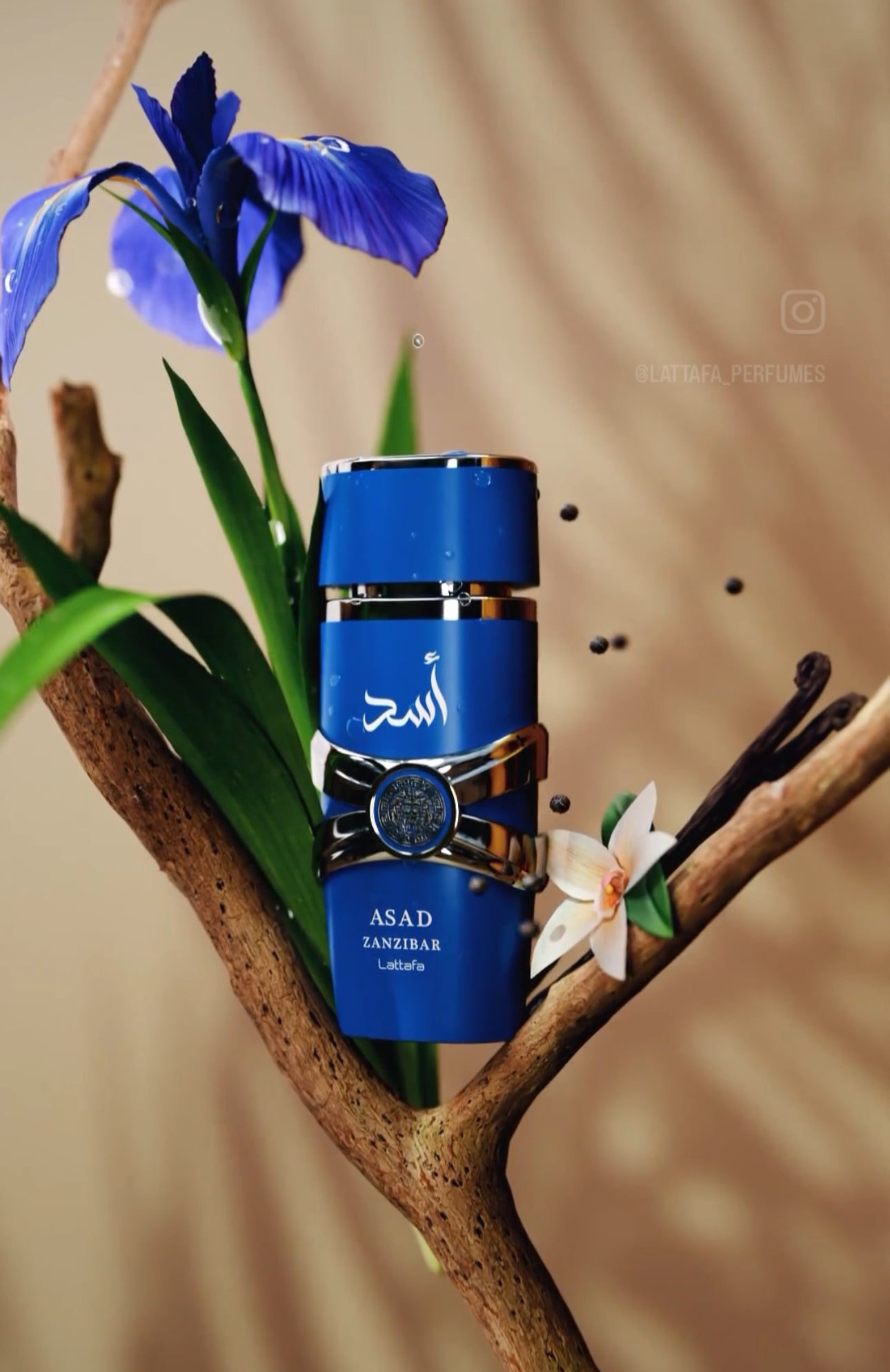 Asad Zanzibar Lattafa Perfumes