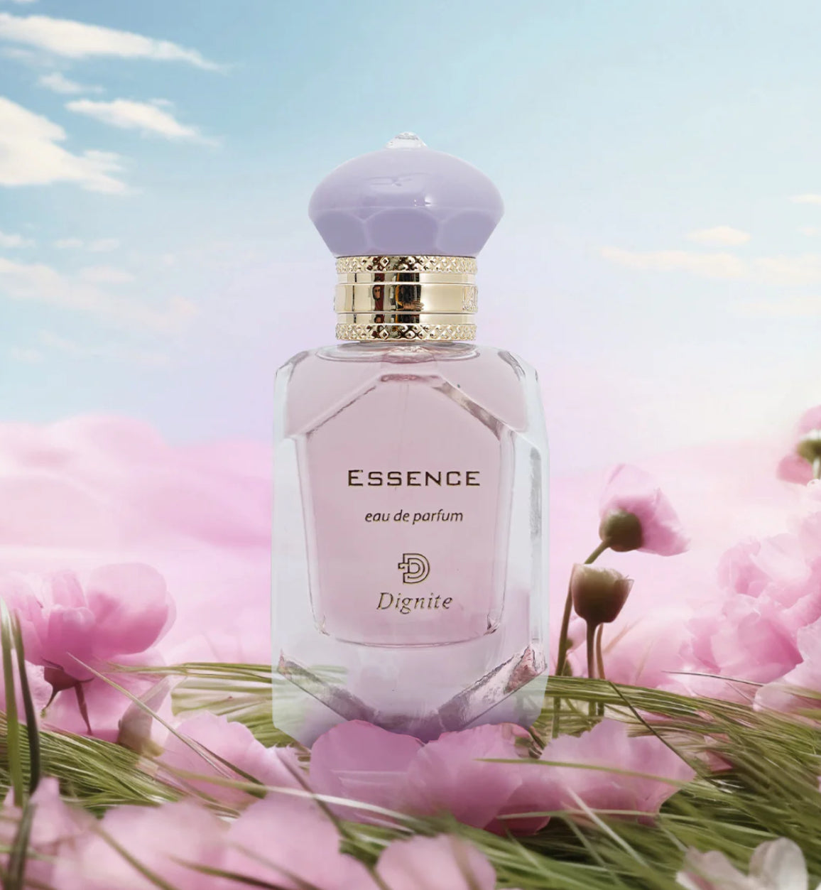 ESSENCE | DIGNITE 50ml