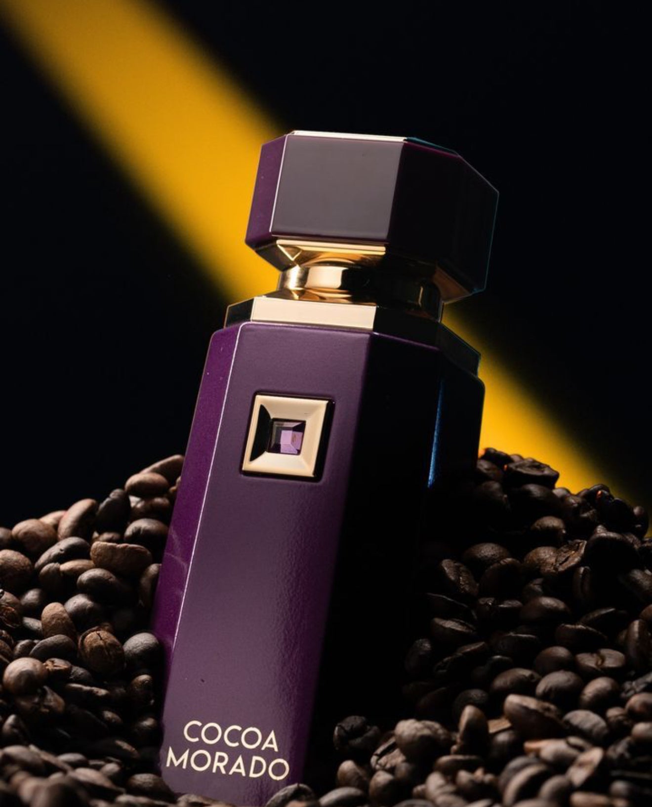 Cocoa Morado French Avenue