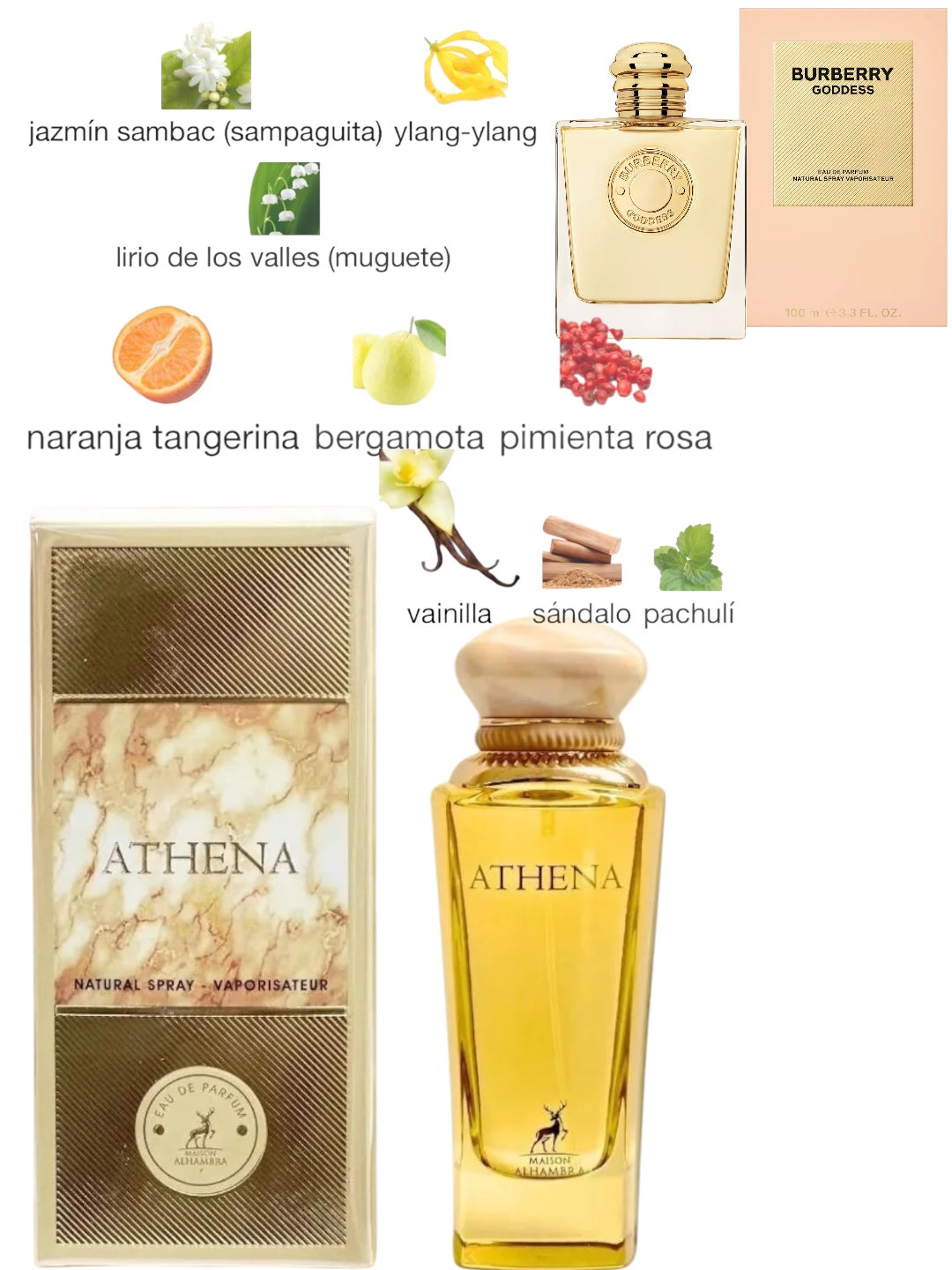 ATHENAS MAISON ALHAMBRA EDP 100ml✔️